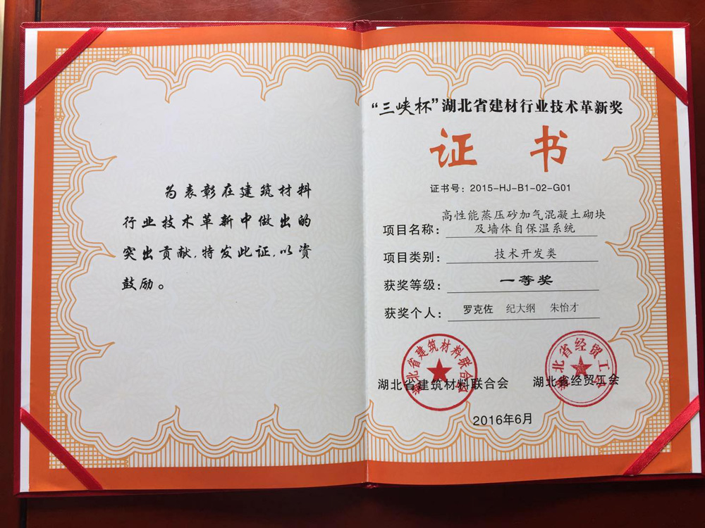 革新技术一等奖（个人）